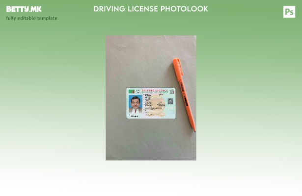 Модерен стил Zambia DL photolook FRONT шаблон